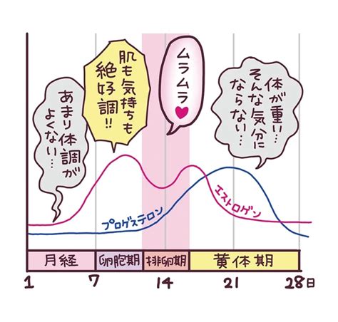 生理 と 性欲|生理中や前にムラムラ性欲が高まるのはなぜ？原因や対 .